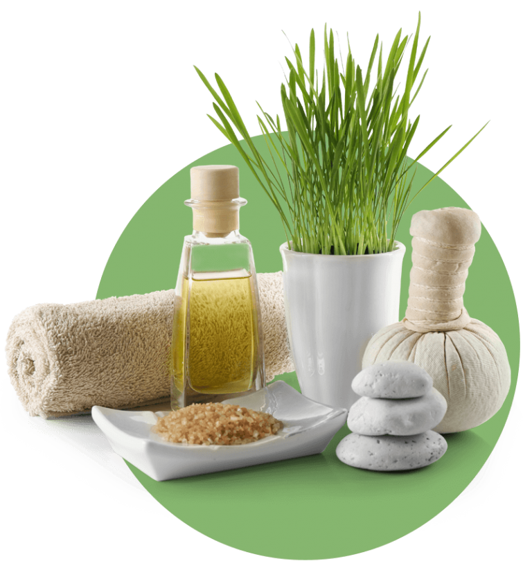 Tree House Spa Best Massage in Singapore River Valley Road